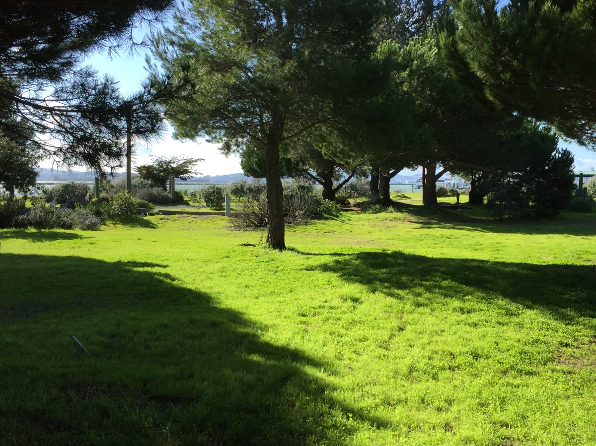 Planning for Enterprise Park&nbsp;Begins