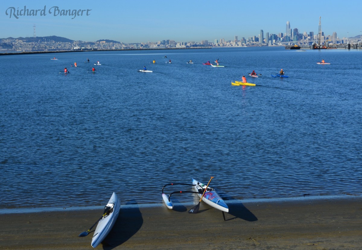 Marine Conservation, Wildlife, and Recreation Area proposed for General&nbsp;Plan