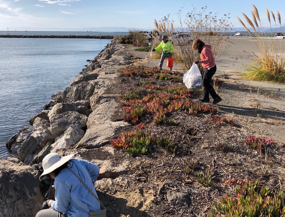 Volunteers clean up trash on shoreline of future De-Pave&nbsp;Park