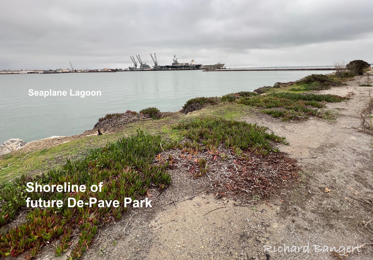 Security Firm Is Failing Alameda&nbsp;Point