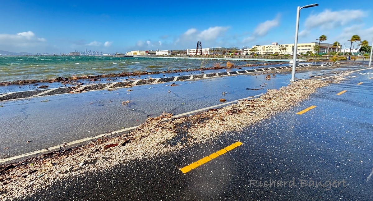 Unnatural disaster from King Tide storms at Alameda&nbsp;Point